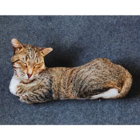 Creative Simulation 3D Cat Pillow Plush Toy (Option: Style 02-50cm)