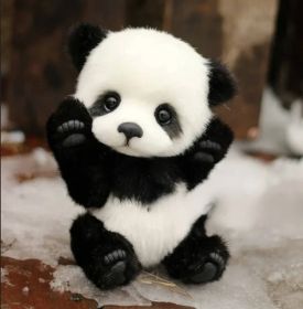 Cotton Plush Doll Black Bear Raccoon Toy (Option: Panda-25cm)