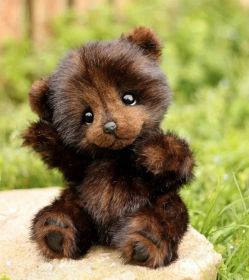 Cotton Plush Doll Black Bear Raccoon Toy (Option: Brown Bear-25cm)